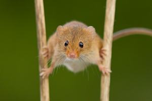 © Oliver Smart © Oliver Smart